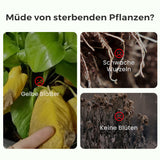 🔥2025 Blumen glücklich machen – ganz ohne Aufwand!Bio-Dünger Tabletten | Langzeitwirkung für üppige Pflanzen | 50% Rabatt 🌱