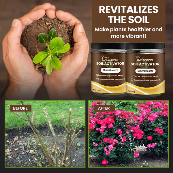 🌱 Blühende Erde, mühelos natürlich – mit ECOCERT-Power🔔 Verbessern Sie Ihren Boden JETZT & sparen Sie 50%! 🌱