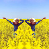 Spiegeleffekt-Objektiv – Nehmen Sie atemberaubende Reflexionen sofort auf🎁