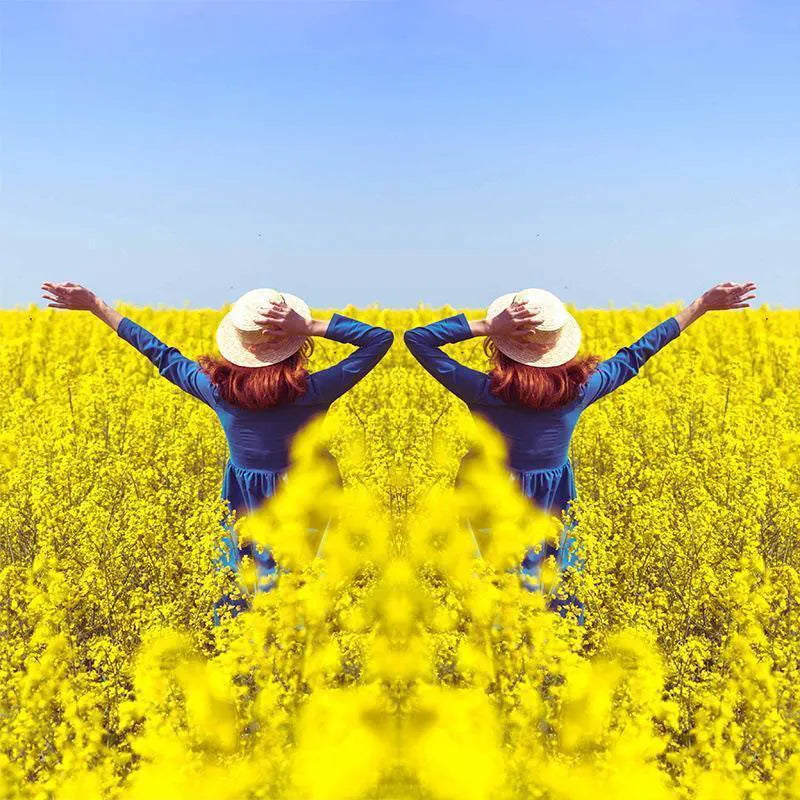 Spiegeleffekt-Objektiv – Nehmen Sie atemberaubende Reflexionen sofort auf🎁