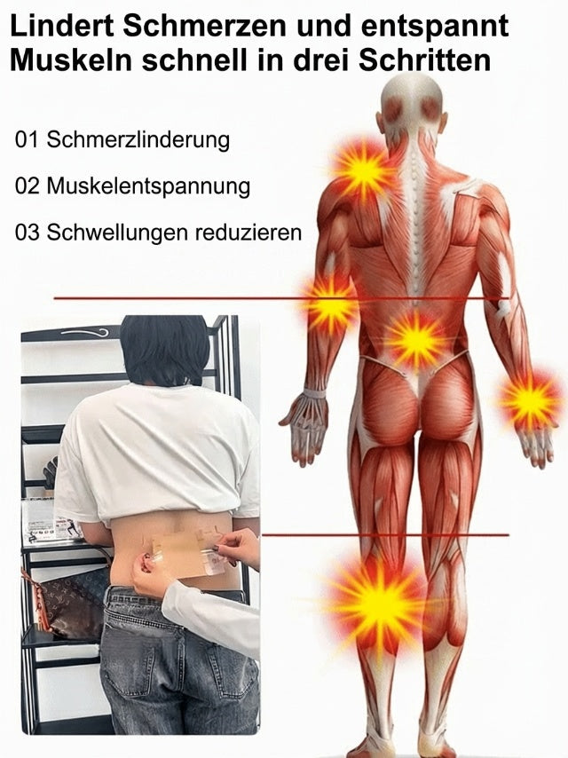 ⏳ Zeitbegrenztes Angebot ⏰ Ingwer-Schmerzlinderungspflaster – Natürliche Wärmetherapie bei Schmerzen & Steifheit | Einfach dort aufkleben, wo es weh tut! 💆‍♀️