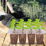 Saatlingsträger mit Wachstumslicht(6 Stück + Gratis Wachstumsflüssigkeit! 🎁)