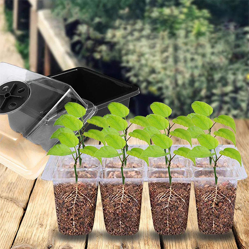 Saatlingsträger mit Wachstumslicht(6 Stück + Gratis Wachstumsflüssigkeit! 🎁)