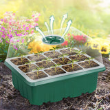 Saatlingsträger mit Wachstumslicht(6 Stück + Gratis Wachstumsflüssigkeit! 🎁)