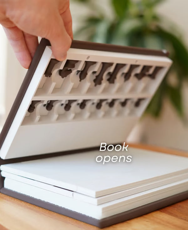 Internationale magnetische Schachbox