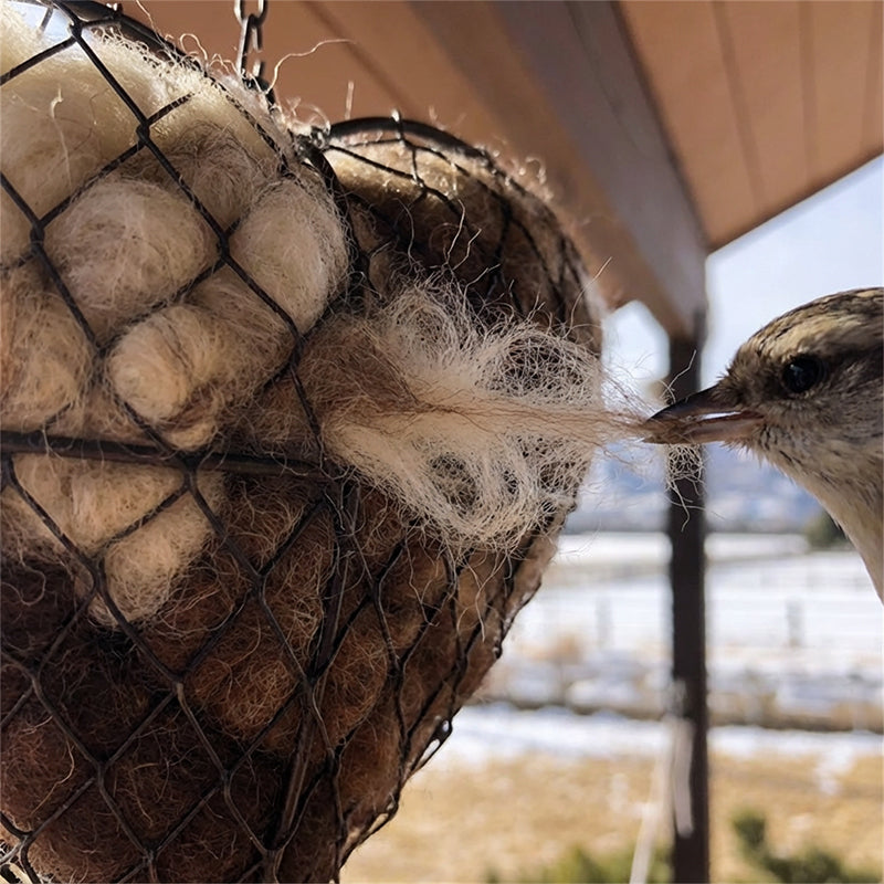 🕊️ Handgefertigtes Vogelnestherz aus Alpakafasern